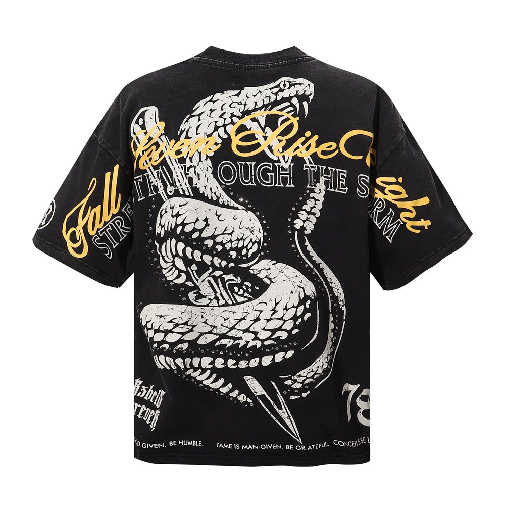 R3BEL Strength Through the Storm Snake Graphic T-Shirt — front