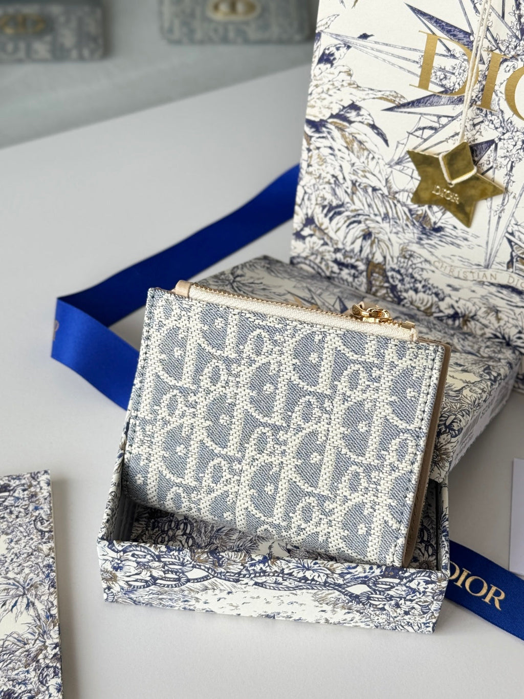 Chanel Dior 25S 30 Montaigne Dahlia Wallet 11 in Light Blue Dior Oblique Jacquard